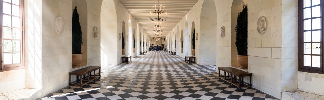 chateau-de-chenonceau-1095268_1920